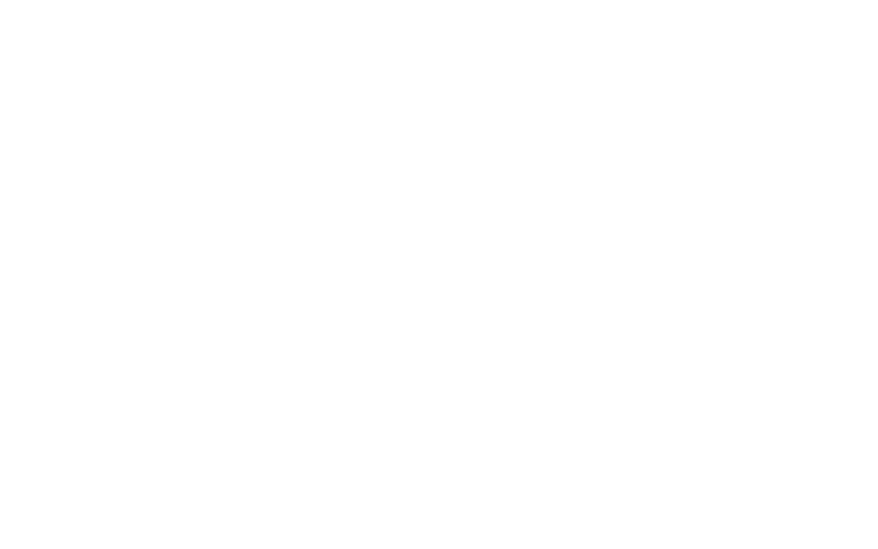 Brother-Logo-White