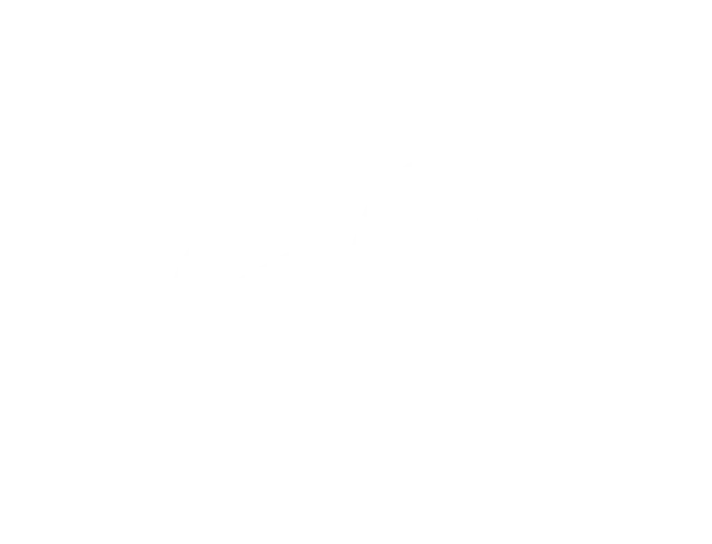efi_logo_ko_gif